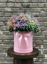 Цветочная композиция из Гипсофила и Розы в шляпной коробке в Новоржеве