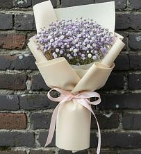 Букет цветов из:  Гипсофила в Новоржеве