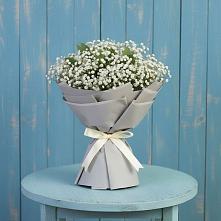 Букет цветов из:  Гипсофила в Новоржеве