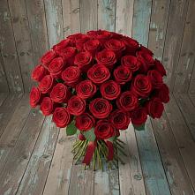 Букет 55 Красных роз Фридом #REPLACE_PRED# Новоржеве
