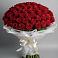 Букет 101 Красная роза Блэк Мэджик в Новоржеве