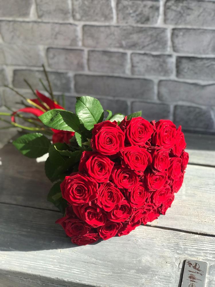 Букет Красные розы Фридом в Новоржеве