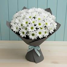 Букет цветов из:  Хризантемы в Новоржеве
