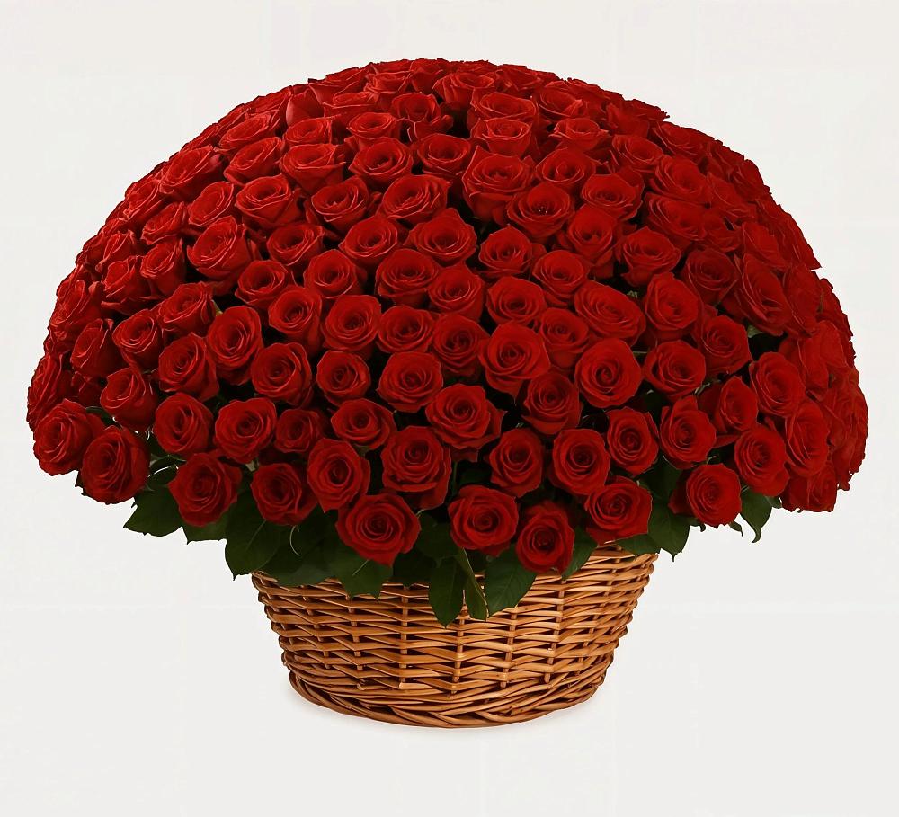 Премиум букет из: Розы в Новоржеве