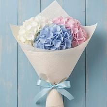 Букет цветов из:  Гортензия #REPLACE_PRED# Новоржеве