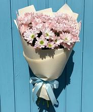 Букет цветов из:  Хризантемы в Новоржеве