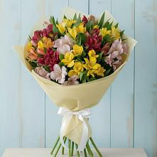 Букет цветов из:  Альстромерии в Новоржеве