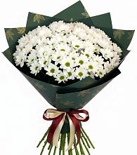 Букет цветов из:  Хризантемы #REPLACE_PRED# Новоржеве