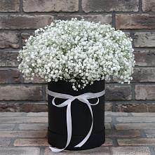 Цветочная композиция из Гипсофила в шляпной коробке в Новоржеве