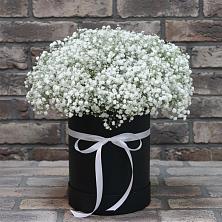 Цветочная композиция из Гипсофила в шляпной коробке в Новоржеве
