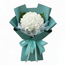 Букет цветов из:  Гортензия в Новоржеве
